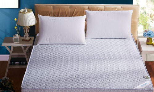 蘇軒家居布藝 產品與店鋪裝修的視覺美學融合